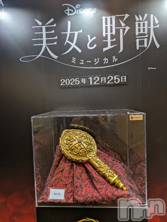 新潟デリヘル熟女の風俗 最終章(ジュクジョノフウゾクサイシュウショウ)まり(49)の2025年12月26日写メブログ「楽しいクリスマス」