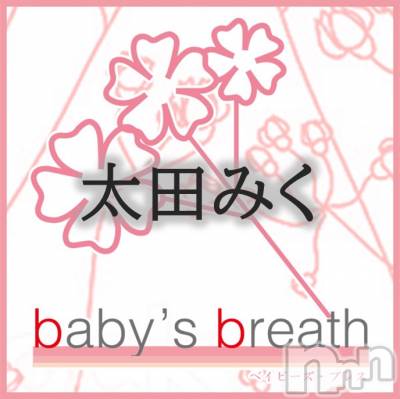 󥺥 baby's breath(٥ӡ ֥쥹) Ĥߤβ(1)