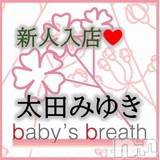 󥺥baby's breath(٥ӡ ֥쥹) Ĥߤ椭221̥֥֤ꤤޤ