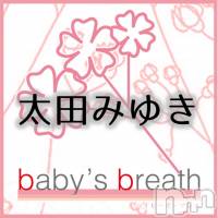 󥺥 baby's breath(٥ӡ ֥쥹) Ĥߤβ(2)