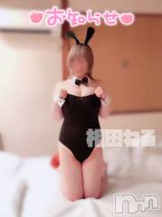 三条人妻デリヘル人妻じゅんちゃん-出稼ぎ0！地元の奥様専門-(ヒトヅマジュンチャン) 【新人】相田ねる☆ロリカワ奥様(29)の9月30日写メブログ「ご挨拶とご報告」