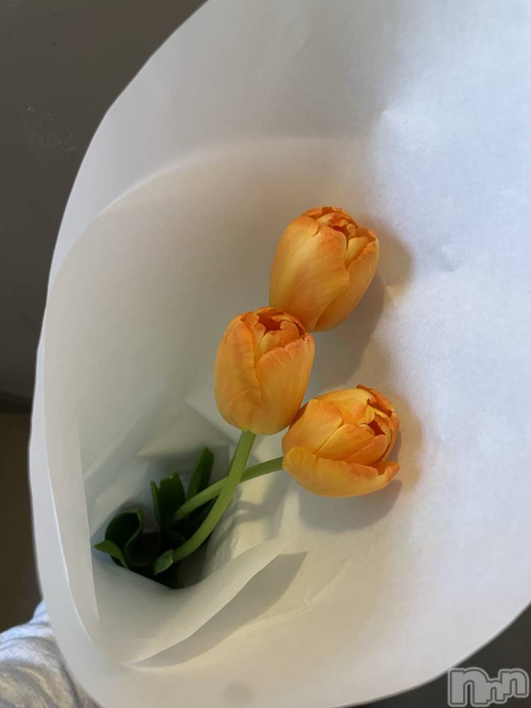 Įʥå륺СL'asile(饸) 223ֽ̥֥жФƤޤ