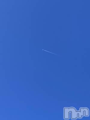 Įʥå륺СL'asile(饸) 330ֽ̥֥жФƤޤ