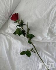 上田発デリヘル人妻華道 上田店(ヒトヅマハナミチウエダテン) 【熟女】りえこ(45)の2月18日写メブログ「本日完売致しました。」