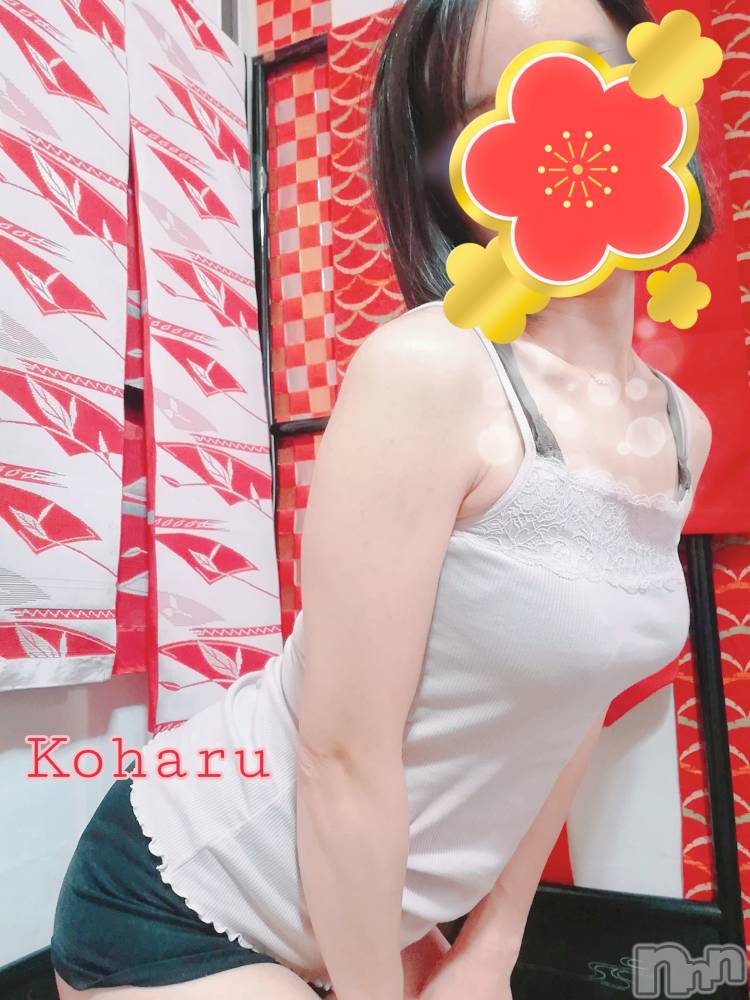 長岡風俗エステ長岡風俗出張アロママッサージ(ナガオカフウゾクシュッチョウアロママッサージ) 女子アナ級美人☆こはる(32)の2月19日写メブログ「運命的な出会いにはタイミングが大事♪」