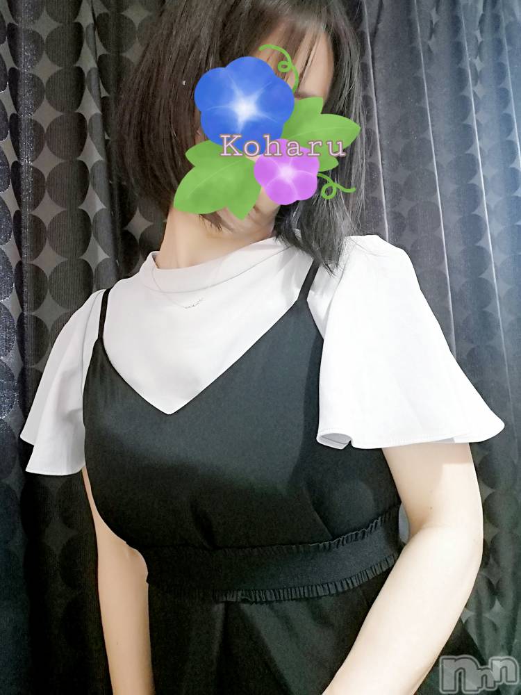 長岡風俗エステ長岡風俗出張アロママッサージ(ナガオカフウゾクシュッチョウアロママッサージ) 女子アナ級美人☆こはる(32)の7月11日写メブログ「タイミングを逃さないで✨」