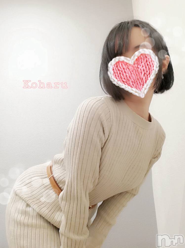 長岡風俗エステ長岡風俗出張アロママッサージ(ナガオカフウゾクシュッチョウアロママッサージ) 女子アナ級美人☆こはる(32)の11月19日写メブログ「いろんな楽しみ方😏」