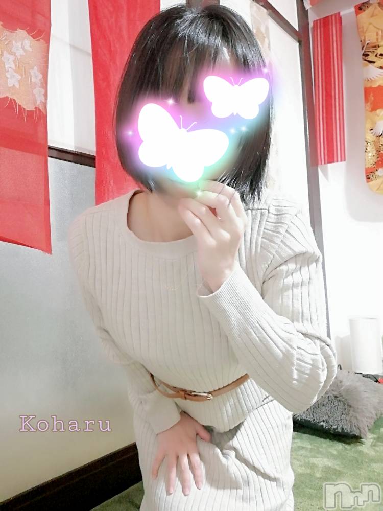 長岡風俗エステ長岡風俗出張アロママッサージ(ナガオカフウゾクシュッチョウアロママッサージ) 女子アナ級美人☆こはる(32)の12月13日写メブログ「気づいてもらえない😂」