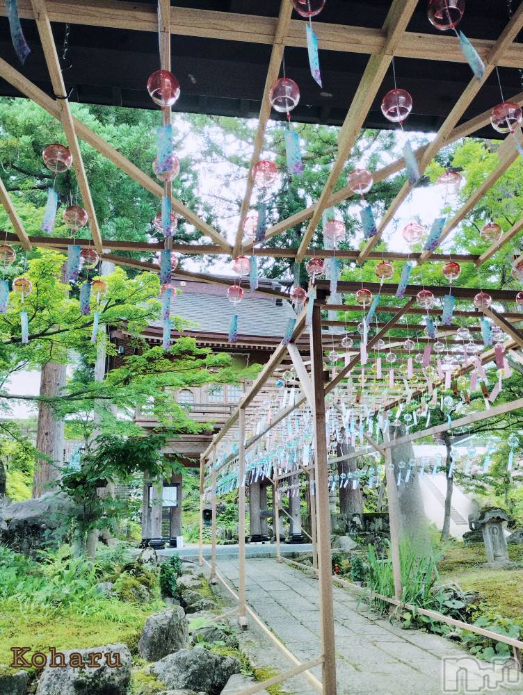 長岡風俗エステ長岡風俗出張アロママッサージ(ナガオカフウゾクシュッチョウアロママッサージ) 女子アナ級美人☆こはる(32)の7月12日写メブログ「疑問がやっとわかった😂」