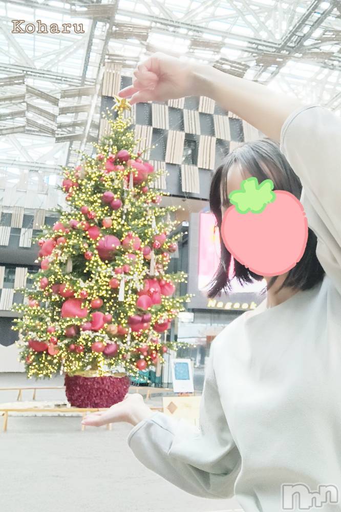 長岡デリヘル長岡風俗出張アロママッサージ(ナガオカフウゾクシュッチョウアロママッサージ) 睾丸前立腺エステ☆こはる(32)の12月2日写メブログ「華やぐ季節🎄」
