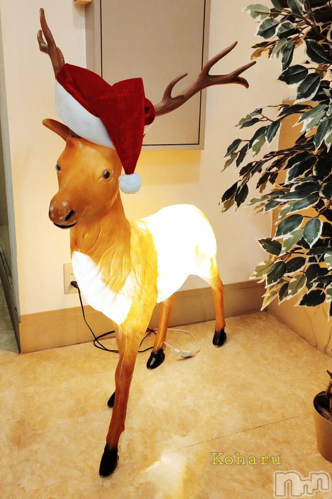 長岡デリヘル長岡風俗出張アロママッサージ(ナガオカフウゾクシュッチョウアロママッサージ) 睾丸前立腺エステ☆こはる(32)の12月4日写メブログ「おしりが光ってる！🤣」