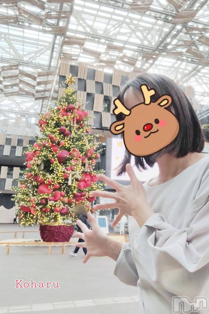 長岡デリヘル長岡風俗出張アロママッサージ(ナガオカフウゾクシュッチョウアロママッサージ) 睾丸前立腺エステ☆こはる(32)の12月11日写メブログ「ツリーにはしゃぐこはるです🎄」