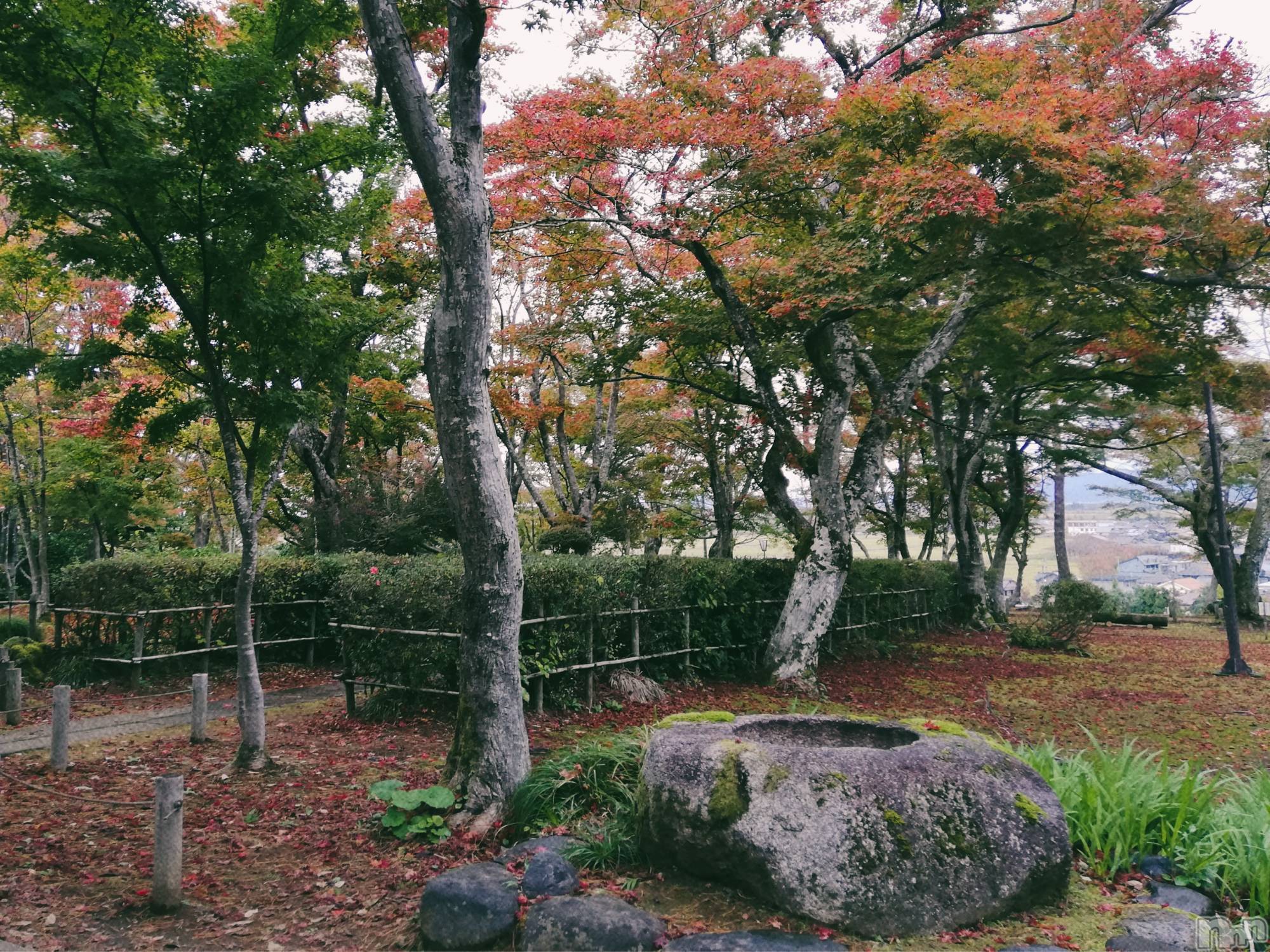 長岡風俗エステ長岡風俗出張アロママッサージ(ナガオカフウゾクシュッチョウアロママッサージ)女子アナ級美人☆こはる(31)の2023年11月20日写メブログ「裏話💙とあるセラピストの思惑」