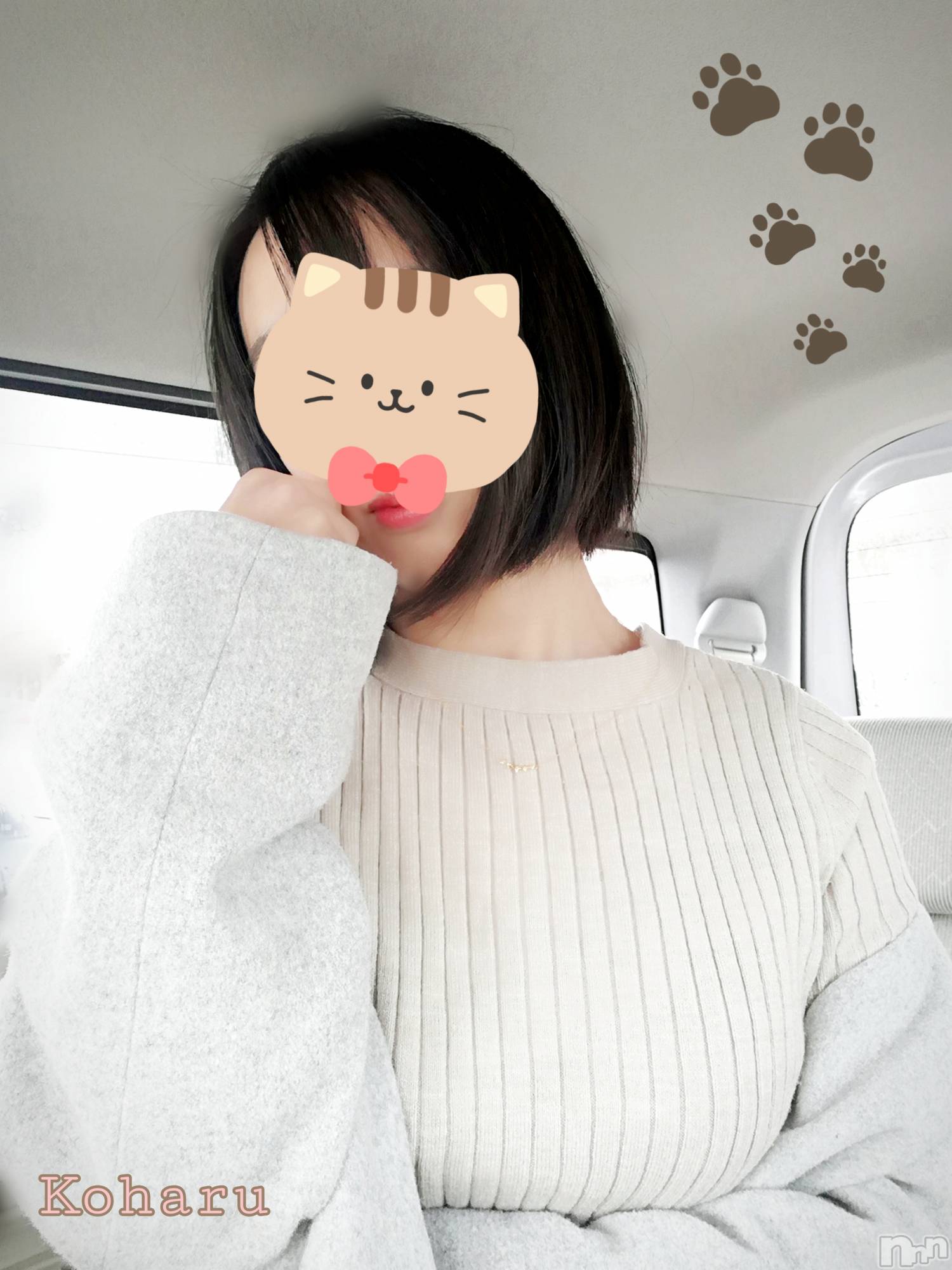長岡風俗エステ長岡風俗出張アロママッサージ(ナガオカフウゾクシュッチョウアロママッサージ)女子アナ級美人☆こはる(32)の2025年3月4日写メブログ「こはるからお呼びできないから😿」