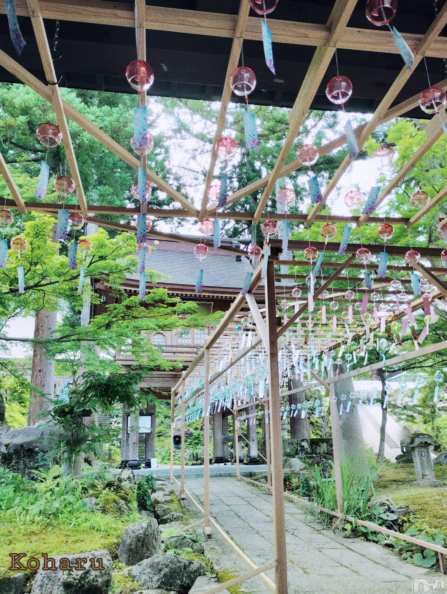 長岡デリヘル長岡風俗出張アロママッサージ(ナガオカフウゾクシュッチョウアロママッサージ)睾丸前立腺エステ☆こはる(32)の2025年7月12日写メブログ「疑問がやっとわかった😂」