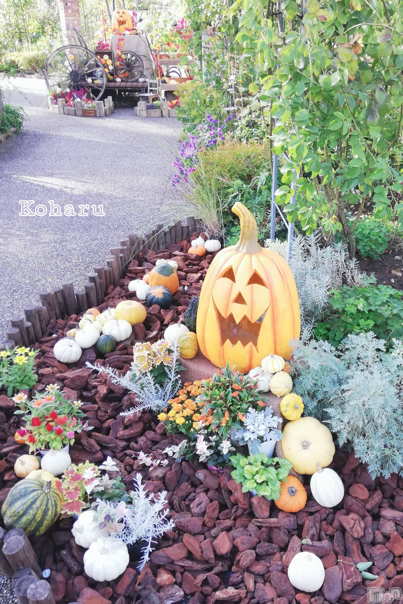長岡デリヘル長岡風俗出張アロママッサージ(ナガオカフウゾクシュッチョウアロママッサージ)睾丸前立腺エステ☆こはる(32)の2025年10月31日写メブログ「今回はアレのクイズ😏」
