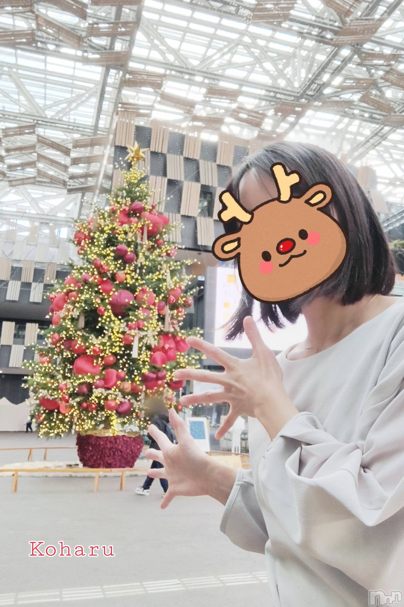 長岡デリヘル長岡風俗出張アロママッサージ(ナガオカフウゾクシュッチョウアロママッサージ)睾丸前立腺エステ☆こはる(32)の2025年12月11日写メブログ「ツリーにはしゃぐこはるです🎄」