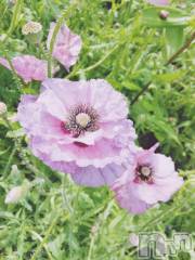 長岡デリヘル長岡風俗出張アロママッサージ(ナガオカフウゾクシュッチョウアロママッサージ) 睾丸前立腺エステ☆こはる(33)の6月30日写メブログ「貴方に提供したいもの💕」