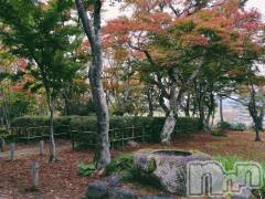 長岡デリヘル長岡風俗出張アロママッサージ(ナガオカフウゾクシュッチョウアロママッサージ) 睾丸前立腺エステ☆こはる(33)の11月20日写メブログ「裏話💙とあるセラピストの思惑」