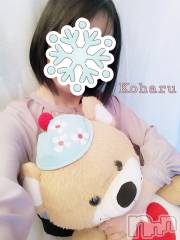 長岡デリヘル長岡風俗出張アロママッサージ(ナガオカフウゾクシュッチョウアロママッサージ) 睾丸前立腺エステ☆こはる(33)の1月17日写メブログ「また会う日まで👋」