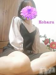 長岡デリヘル長岡風俗出張アロママッサージ(ナガオカフウゾクシュッチョウアロママッサージ) 睾丸前立腺エステ☆こはる(33)の1月18日写メブログ「どうかこのまま…🥺✨」