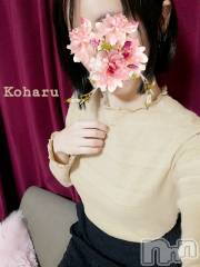 長岡デリヘル長岡風俗出張アロママッサージ(ナガオカフウゾクシュッチョウアロママッサージ) 睾丸前立腺エステ☆こはる(33)の2月22日写メブログ「人体の不思議😲✨」