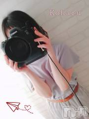 長岡デリヘル長岡風俗出張アロママッサージ(ナガオカフウゾクシュッチョウアロママッサージ) 睾丸前立腺エステ☆こはる(33)の2月28日写メブログ「ムフフなお知らせ🤭💕」