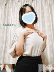 長岡デリヘル長岡風俗出張アロママッサージ(ナガオカフウゾクシュッチョウアロママッサージ) 睾丸前立腺エステ☆こはる(32)の3月14日写メブログ「あんたが主役!!👑」