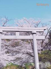 長岡デリヘル長岡風俗出張アロママッサージ(ナガオカフウゾクシュッチョウアロママッサージ) 睾丸前立腺エステ☆こはる(33)の4月23日写メブログ「春の思い出🌸置いていくね」