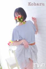 長岡デリヘル長岡風俗出張アロママッサージ(ナガオカフウゾクシュッチョウアロママッサージ) 睾丸前立腺エステ☆こはる(33)の4月26日写メブログ「こはるが本当に欲しいモノ🎁」