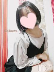 長岡デリヘル長岡風俗出張アロママッサージ(ナガオカフウゾクシュッチョウアロママッサージ) 睾丸前立腺エステ☆こはる(33)の6月4日写メブログ「実は○分○○も大事🥰」