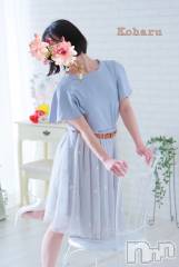 長岡デリヘル長岡風俗出張アロママッサージ(ナガオカフウゾクシュッチョウアロママッサージ) 睾丸前立腺エステ☆こはる(33)の6月7日写メブログ「貴方に教えちゃいます🤫💕」