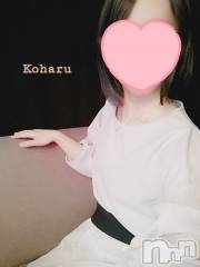 長岡デリヘル長岡風俗出張アロママッサージ(ナガオカフウゾクシュッチョウアロママッサージ) 睾丸前立腺エステ☆こはる(33)の6月11日写メブログ「またふたりきりでお会いしましょう😏💕」