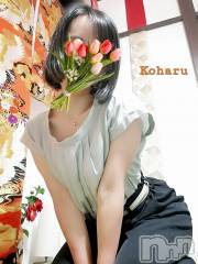 長岡デリヘル長岡風俗出張アロママッサージ(ナガオカフウゾクシュッチョウアロママッサージ) 睾丸前立腺エステ☆こはる(33)の6月16日写メブログ「夏の到来に向けた対策！！？」