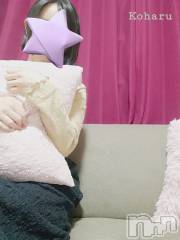 長岡デリヘル長岡風俗出張アロママッサージ(ナガオカフウゾクシュッチョウアロママッサージ) 睾丸前立腺エステ☆こはる(33)の7月16日写メブログ「隣り、座ってくれますか…？🥺✨」