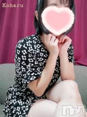 長岡デリヘル長岡風俗出張アロママッサージ(ナガオカフウゾクシュッチョウアロママッサージ) 睾丸前立腺エステ☆こはる(33)の9月3日写メブログ「楽しいDMのために💕」