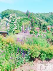 長岡デリヘル長岡風俗出張アロママッサージ(ナガオカフウゾクシュッチョウアロママッサージ) 睾丸前立腺エステ☆こはる(33)の9月3日写メブログ「青空と花と貴方と🌹」