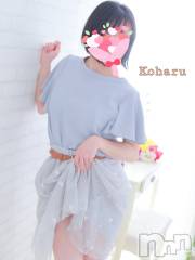 長岡デリヘル長岡風俗出張アロママッサージ(ナガオカフウゾクシュッチョウアロママッサージ) 睾丸前立腺エステ☆こはる(32)の9月14日写メブログ「「睾丸」を伏せ字にすると？😱」