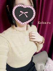 長岡デリヘル長岡風俗出張アロママッサージ(ナガオカフウゾクシュッチョウアロママッサージ) 睾丸前立腺エステ☆こはる(33)の10月8日写メブログ「竿だけじゃない！玉も大事ですω✨」