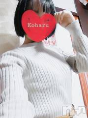 長岡デリヘル長岡風俗出張アロママッサージ(ナガオカフウゾクシュッチョウアロママッサージ) 睾丸前立腺エステ☆こはる(32)の1月13日写メブログ「2025年初出勤ありがとうございました😊＋ちょっとしたお知らせ💡」