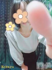 長岡デリヘル長岡風俗出張アロママッサージ(ナガオカフウゾクシュッチョウアロママッサージ) 睾丸前立腺エステ☆こはる(32)の1月16日写メブログ「今だけの特典です🤭」