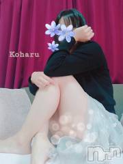 長岡デリヘル長岡風俗出張アロママッサージ(ナガオカフウゾクシュッチョウアロママッサージ) 睾丸前立腺エステ☆こはる(32)の4月7日写メブログ「「こはるさんっていつお店にいるの？🤷‍♂️」」