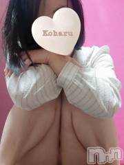 長岡デリヘル長岡風俗出張アロママッサージ(ナガオカフウゾクシュッチョウアロママッサージ) 睾丸前立腺エステ☆こはる(33)の5月2日写メブログ「昨日の補足🌼手っ取り早く知るには⁉️」