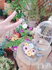 長岡デリヘル長岡風俗出張アロママッサージ(ナガオカフウゾクシュッチョウアロママッサージ) 睾丸前立腺エステ☆こはる(32)の5月6日写メブログ「花の命は短い🌷🌸🌹」