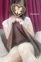 長岡デリヘル長岡風俗出張アロママッサージ(ナガオカフウゾクシュッチョウアロママッサージ) 睾丸前立腺エステ☆こはる(33)の10月11日写メブログ「恒例⁉️たまたまクイズですω」