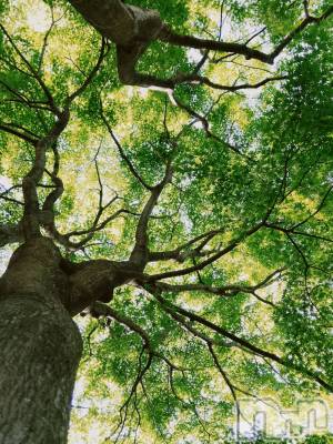 長岡デリヘル 長岡風俗出張アロママッサージ(ナガオカフウゾクシュッチョウアロママッサージ) 睾丸前立腺エステ☆こはる(33)の6月1日写メブログ「誰にもリフレッシュする時間が必要😌」