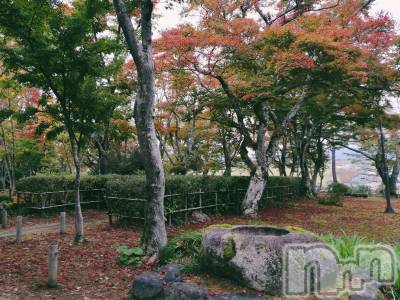 長岡デリヘル 長岡風俗出張アロママッサージ(ナガオカフウゾクシュッチョウアロママッサージ) 睾丸前立腺エステ☆こはる(33)の11月20日写メブログ「裏話💙とあるセラピストの思惑」