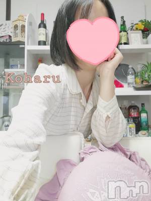 長岡デリヘル 長岡風俗出張アロママッサージ(ナガオカフウゾクシュッチョウアロママッサージ) 睾丸前立腺エステ☆こはる(32)の12月20日写メブログ「こはると最後の…💕」