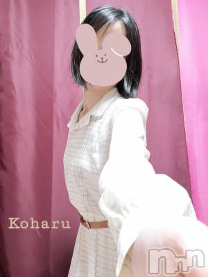 長岡デリヘル 長岡風俗出張アロママッサージ(ナガオカフウゾクシュッチョウアロママッサージ) 睾丸前立腺エステ☆こはる(33)の1月31日写メブログ「お出掛け日和の日には🌼」