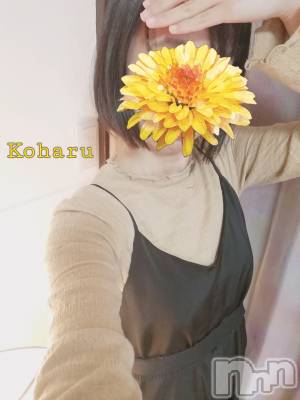 長岡デリヘル 長岡風俗出張アロママッサージ(ナガオカフウゾクシュッチョウアロママッサージ) 睾丸前立腺エステ☆こはる(33)の1月31日写メブログ「風俗店ならではのマッサージ💆‍♂️」